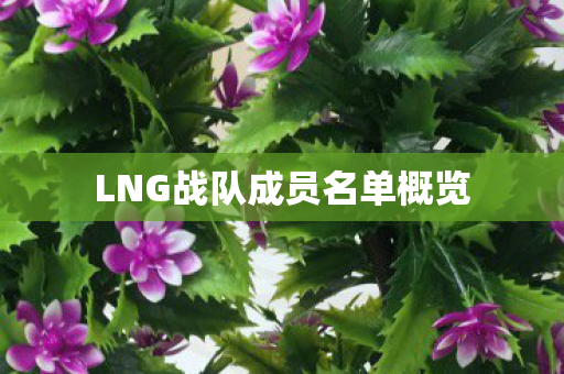 LNG战队成员名单概览