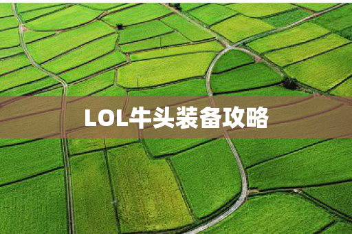 LOL牛头装备攻略