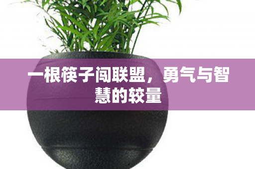 一根筷子闯联盟，勇气与智慧的较量
