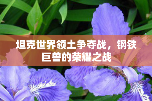 坦克世界领土争夺战，钢铁巨兽的荣耀之战
