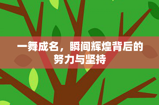 一舞成名,瞬间辉煌背后的努力与坚持 一舞成名,瞬间辉煌背后的努力与坚持