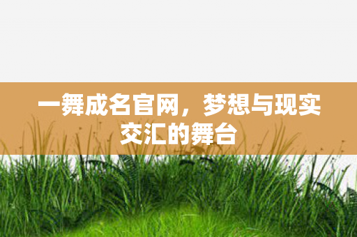 一舞成名官网，梦想与现实交汇的舞台