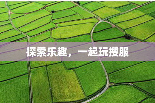 探索乐趣，一起玩搜服