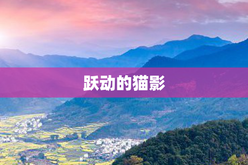 跃动的猫影