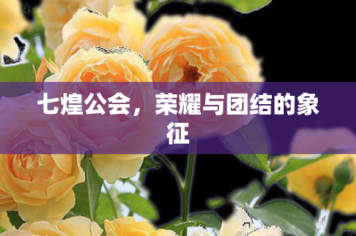 七煌公会，荣耀与团结的象征