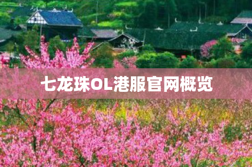 七龙珠OL港服官网概览