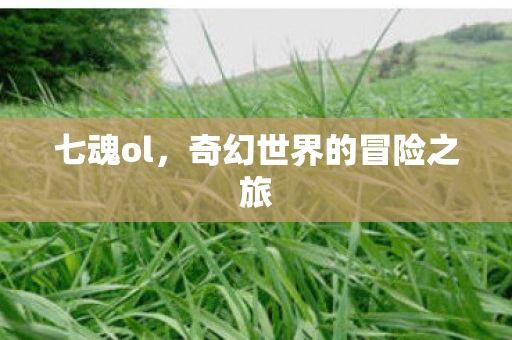 七魂ol，奇幻世界的冒险之旅