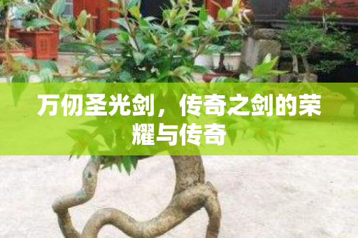 万仞圣光剑，传奇之剑的荣耀与传奇