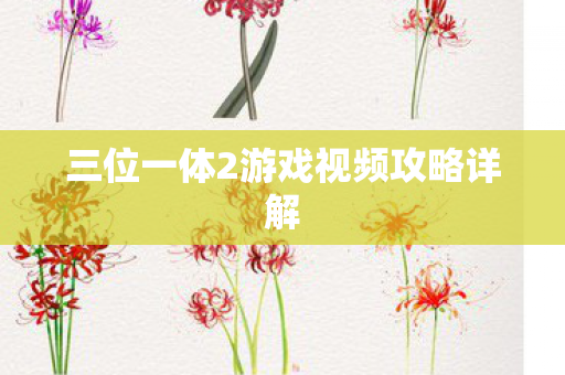 三位一体2游戏视频攻略详解