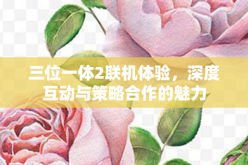 三位一体2联机体验，深度互动与策略合作的魅力