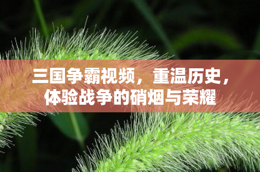 三国争霸视频，重温历史，体验战争的硝烟与荣耀
