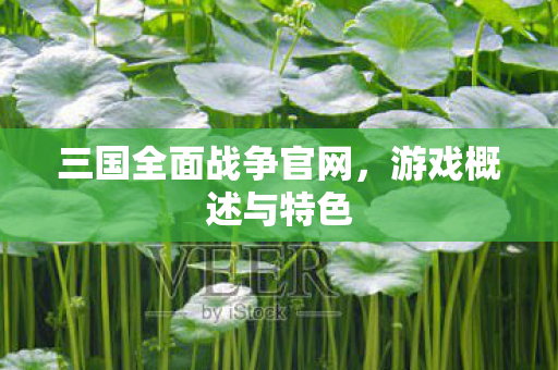 三国全面战争官网，游戏概述与特色