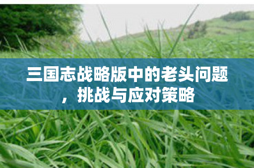三国志战略版中的老头问题，挑战与应对策略