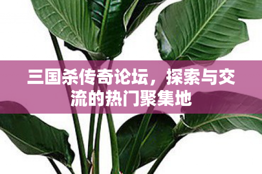 三国杀传奇论坛，探索与交流的热门聚集地