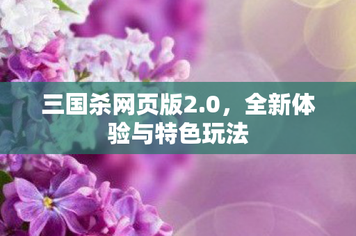 三国杀网页版2.0，全新体验与特色玩法