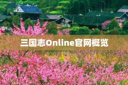 三国志Online官网概览