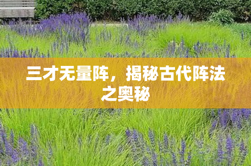 三才无量阵，揭秘古代阵法之奥秘