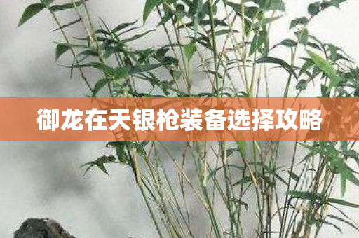 御龙在天银枪装备选择攻略