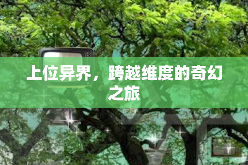 上位异界，跨越维度的奇幻之旅