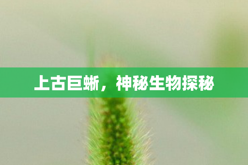 上古巨蜥，神秘生物探秘