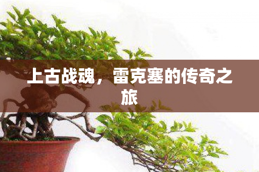 上古战魂，雷克塞的传奇之旅