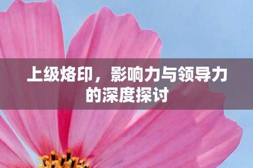 上级烙印，影响力与领导力的深度探讨