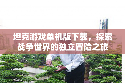 坦克游戏单机版下载，探索战争世界的独立冒险之旅