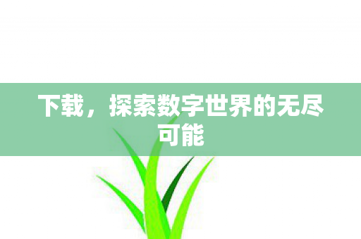 下载，探索数字世界的无尽可能
