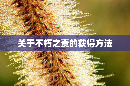 关于不朽之责的获得方法