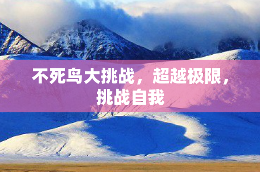 不死鸟大挑战，超越极限，挑战自我
