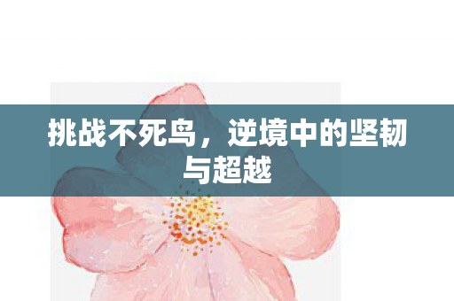 挑战不死鸟，逆境中的坚韧与超越