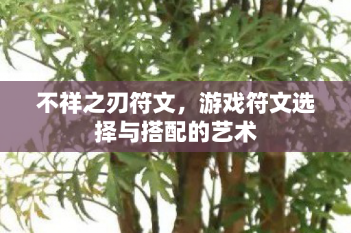 不祥之刃符文，游戏符文选择与搭配的艺术