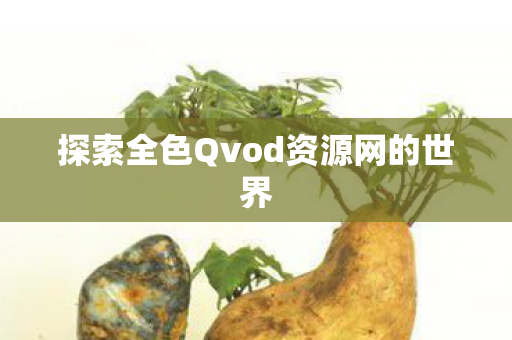 探索全色Qvod资源网的世界