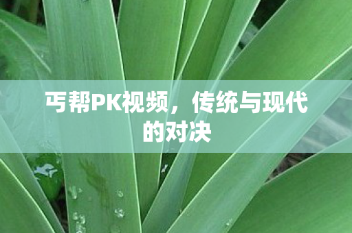 丐帮PK视频,传统与现代的对决 丐帮PK视频,传统与现代的对决