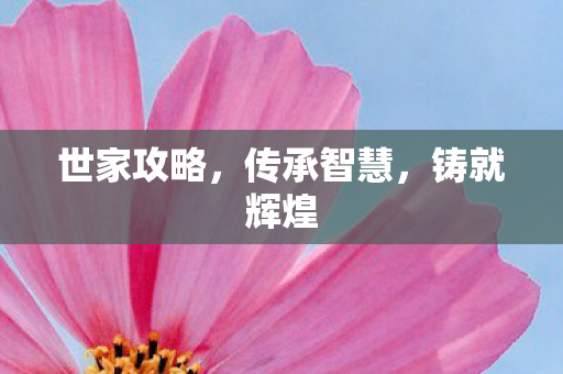 世家攻略，传承智慧，铸就辉煌