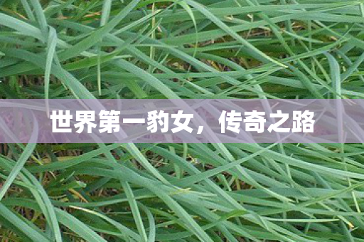 世界第一豹女，传奇之路