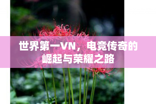 世界第一VN，电竞传奇的崛起与荣耀之路