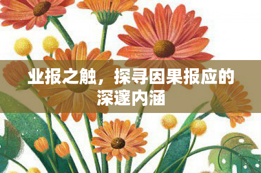 业报之触，探寻因果报应的深邃内涵
