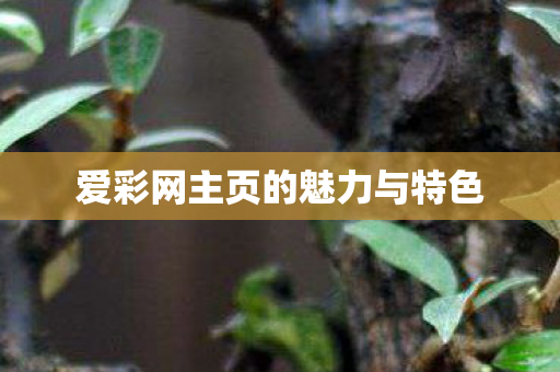 爱彩网主页的魅力与特色