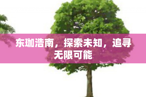 东珈浩南，探索未知，追寻无限可能