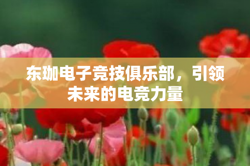 东珈电子竞技俱乐部，引领未来的电竞力量