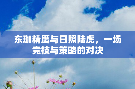 东珈精鹰与日照陆虎，一场竞技与策略的对决