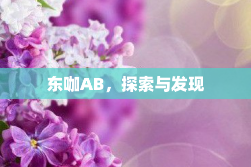 东咖AB，探索与发现