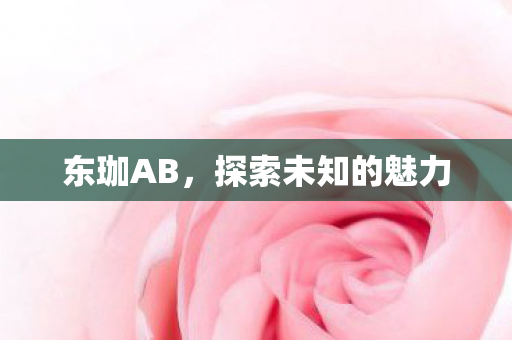 东珈AB，探索未知的魅力