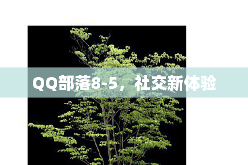 QQ部落8-5，社交新体验