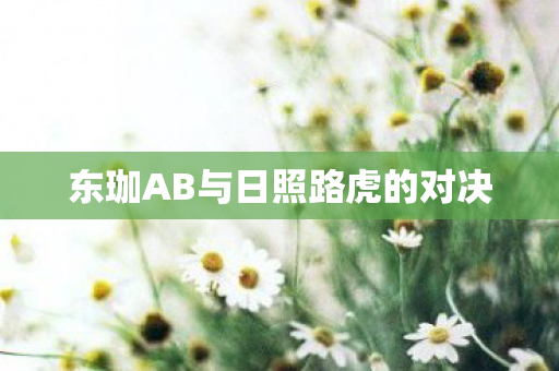 东珈AB与日照路虎的对决