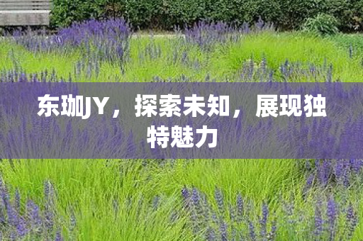 东珈JY，探索未知，展现独特魅力