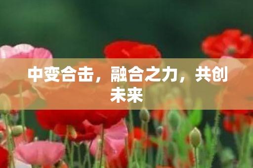 中变合击，融合之力，共创未来