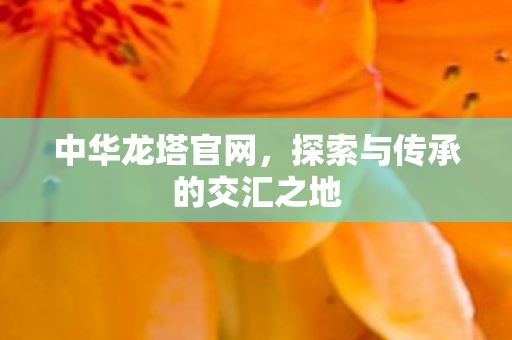 中华龙塔官网，探索与传承的交汇之地