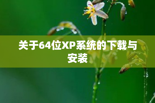 关于64位XP系统的下载与安装 关于64位XP系统的下载与安装